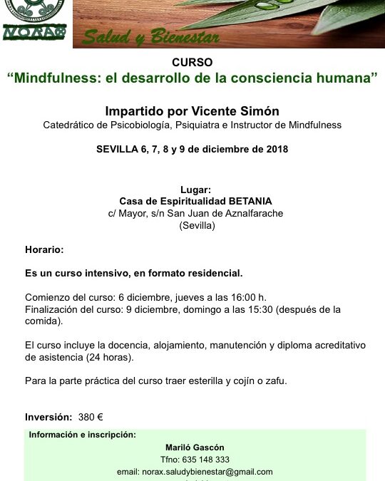 Curso MINDFULNESS: el desarrollo de la consciencia humana. Impartido por VICENTE SIMÓN. del 6 al 9 de diciembre de 2018