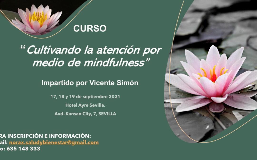 Curso «Cultivando la atención por medio de Mindfulness», impartido por Vicente Simón en Sevilla, del 17 al 19 de septiembre 2021.