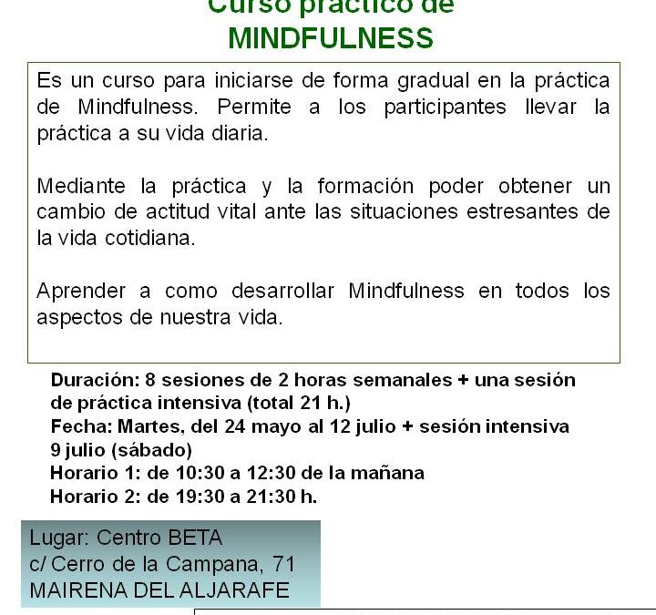 Curso Mindfulness para padres y madres. Enero 2018