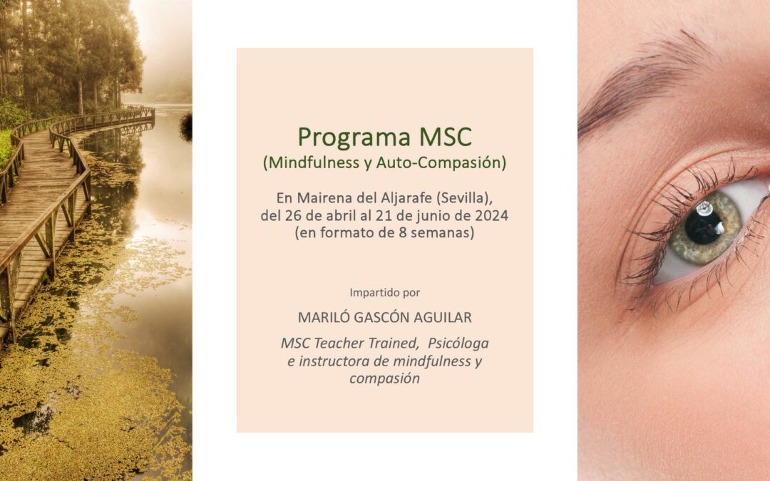 Programa MSC (Mindfulness y Auto-compasión), del 26 de abril al 21 de junio de 2024, en Mairena del Aljarafe (Sevilla)